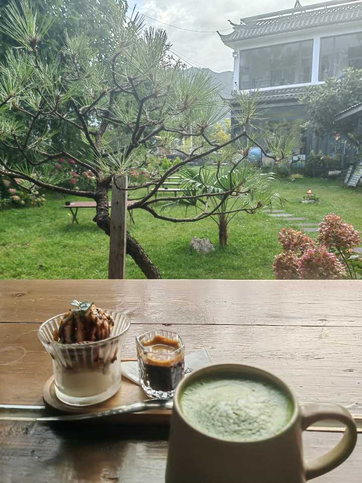 树咖啡窗边小食与院景