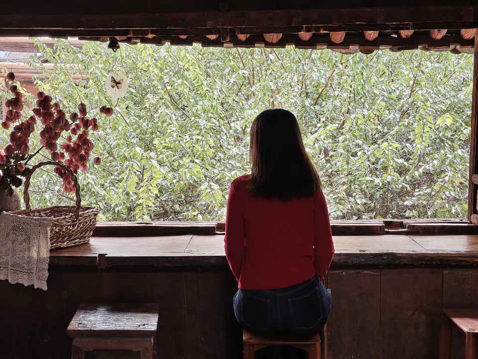 女生的背影,安静地坐在木窗前看窗外的绿意