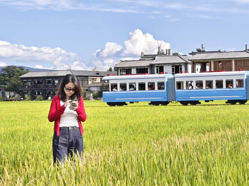 穿红开衫的女生站在稻田里低头看手机,身后一列蓝色小火车正驶过