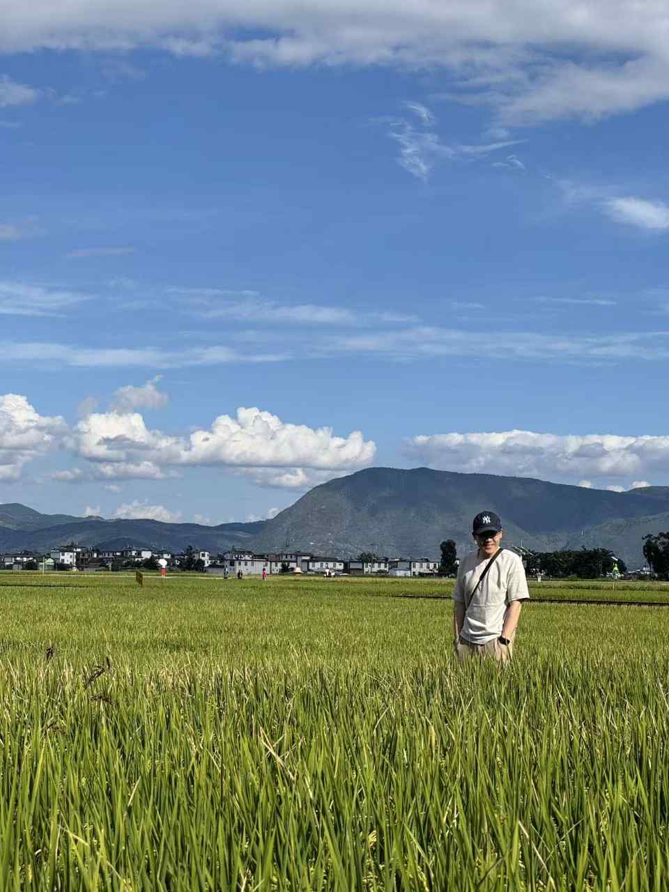 男生戴着鸭舌帽站在稻田里留影